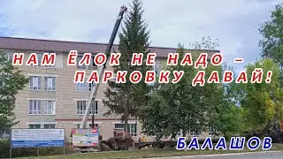 Срубили нашу елочку