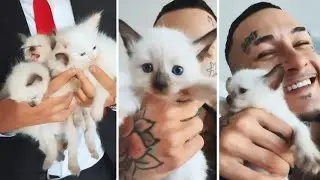 Что стало с кошкой Моргенштерна по имени Кэсси...