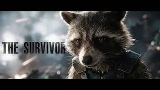 Rocket Racoon Tribute