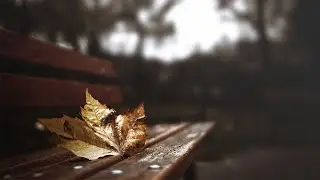 Я как  осенний лист.../ЖЕКА/