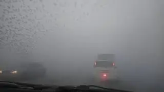 Смок в киселевске
