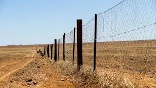 Зачем через весь юго-восток Австралии тянется грандиозное оборонительное сооружение?
