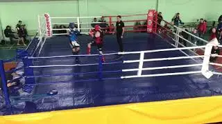 Александр Ладыка 67 кг Тай Кубок ХНУВД