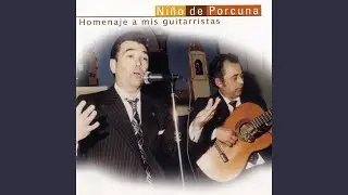 Seguidillas: de Noche Me Acuesto