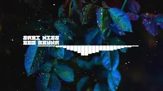 Sabi Miss - Без Звука