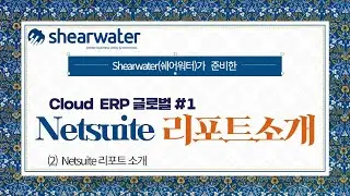 NetSuite 리포트 소개