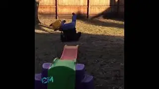 #lucu #bikinngakak #lucubanget #cahmending #shorts