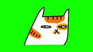 GREEN SCREEN CATS FREE FOR VIDEOS 121 - Green Screen Effects