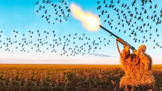 WHAT A SHOT!!! Two on the first one! Thousands of ducks in the field. A dream hunt.