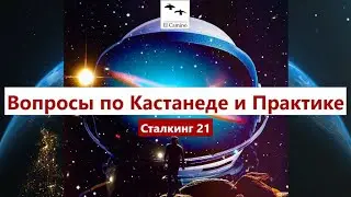Вопросы по Кастанеде и Практике 030724