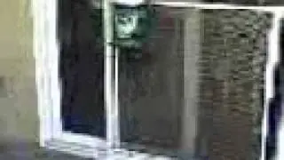 Andrey climbs on the screen door