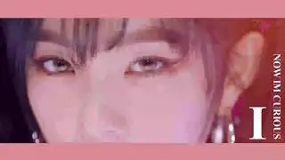 IRENE | BAD BOY SERIES [TAECHII]