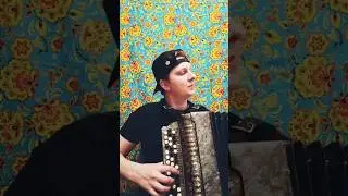 Ах ночь, голубая ночь на баяне 