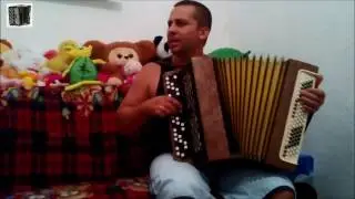 Владимир Бажиновский - Ветер Бродяга (Игра на баяне)