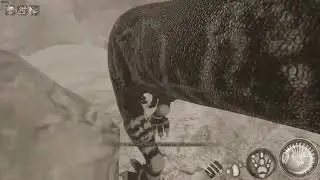 Beasts of Bermuda Одиночество — качество сильных. Слабые всегда жмутся к толпе