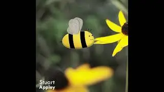 Bumble Bee Animation on Footage | 2D animation created in After Effects