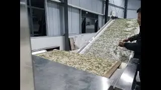 Automatic Green Tea Production Line