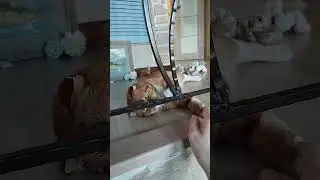 "С видом на маяк". Масло, холст, 2023 год