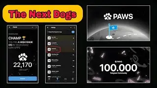 Big Airdrop project $PAWS Same as like $DOGS New Bot Telegram