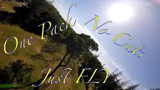 Tree Top Flyin // FPV FREESTYLE // SICKBEARD