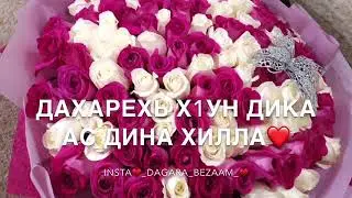 Маьр-йиша❤️