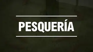 Estudia Pesquería en la UNALM