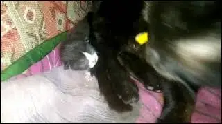ФИМКА ОТДЫХАЕТ