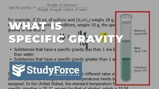 What is Specific Gravity and How it's Calculated