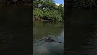How BIG was this fish?!? #kayakfishing #riverfishing #kayakbassfishing
