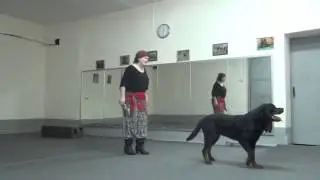 Амбассадор, 
