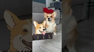 A nice gift for Maggie to keep her from being sad 🥰🐶😍 #animals #dog #shorts