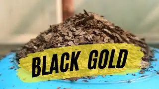 Best Fertilizer for Plants | Homemade Fertilizer