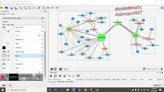 Cytoscape and own plan and goals  network designing section 2