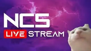 🎶 NCS Livestream #22 🎧 [Future House]