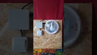 ✅️Как Подключить Обычный Светильник Через Смарт Реле с Алиэкспресс❓️#smartwatch #smarthouse