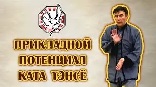 КОНТЭН: Прикладной потенциал ката ТЭНСЁ