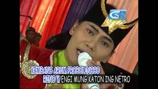 KEMBANG PROBOLINGGO // JITHUL // MUSTIKA LARAS