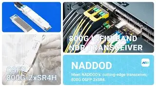 800G InfiniBand OSFP 2xSR4/SR8 Transceiver
