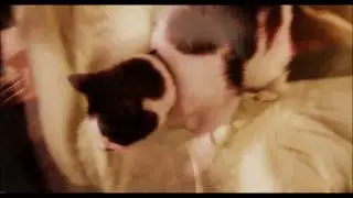 My Cat Mia- A Short Film