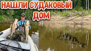 Это не коряги, а судаковый рай | Рыбалка на Чулыме 2023