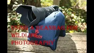 using a bean bag for photographing wildlife.