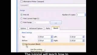 How to do Print settings, preview and quit in Publisher?