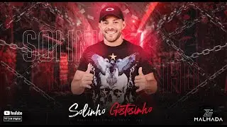 SOLINHO GOSTOSINHO Zé Malhada Forrozão Atualizado 2024