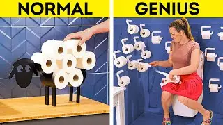 Creative Ways to Decorate And Organize Your Toilet 🚽