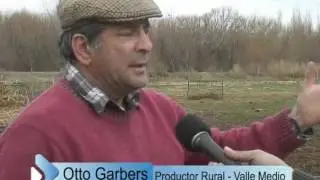 DESAFIO EMPRESARIO. Engorde a corral de Ganado. Otto Garbers. Luis Beltrán. Valle Medio. Ganaderia