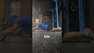 TOP 5 ABS de este mes #workout