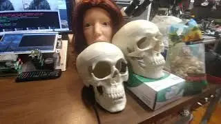Face Tracking for Robotic Host with OpenCV and Raspberry Pi