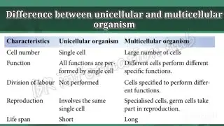 The Most Essential Biological Differences You Need to Know!