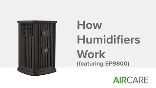 How Humidifiers Work (featuring EP9800)