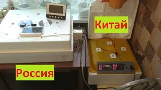 Сравнительный обзор  моих инкубаторов